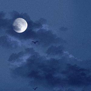 操你逼精品视频免费观看
